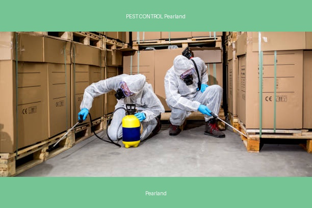 PEST CONTROL Pearland